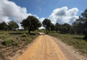 Detached villa with land for sale on España, Alcañiz, ref: TR403781 photo