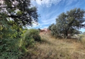 Suelo urbano en venta en la España, Maello, ref: TR297851 foto