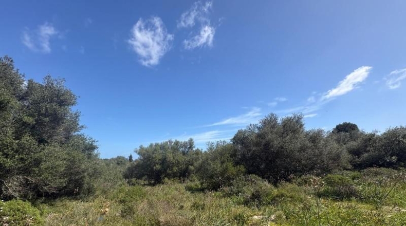 Балеарские острова - Muro - 3556m2