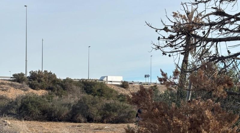 Alicante - Elx - 3090m2