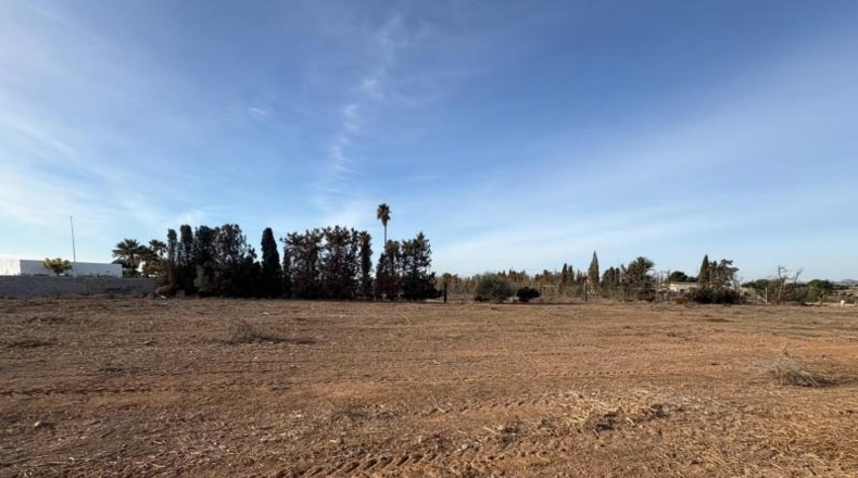 Alicante - Elx - 3090m2