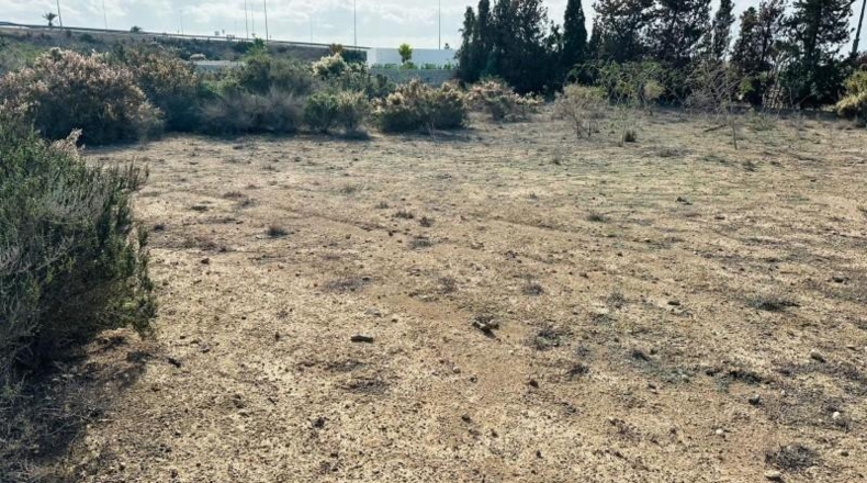 Alicante - Elx - 3090m2