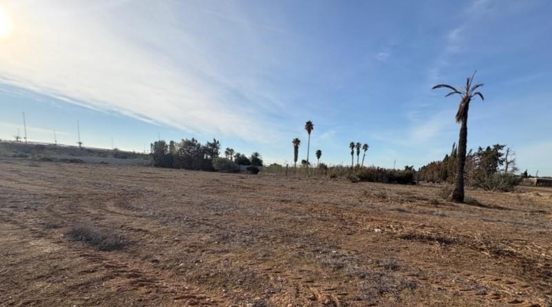 Alicante - Elx - 3090m2