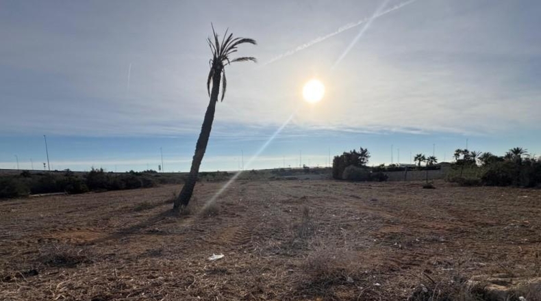 Alicante - Elx - 3090m2