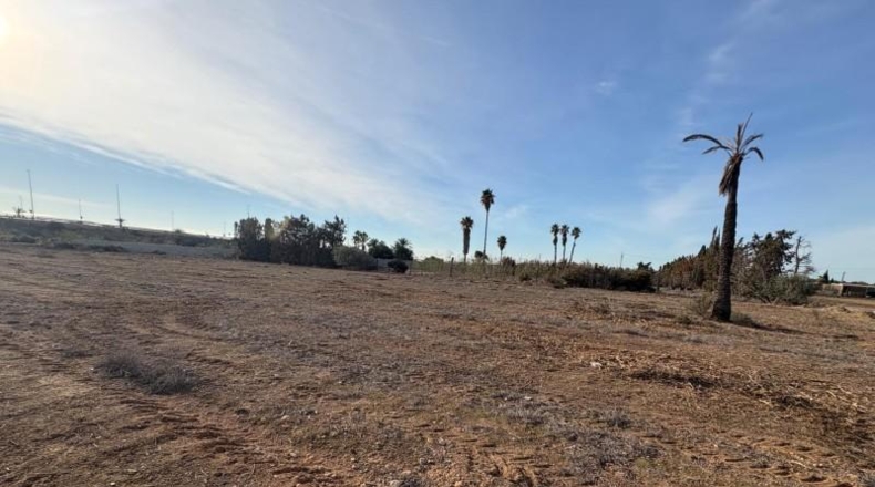Alicante - Elx - 3090m2