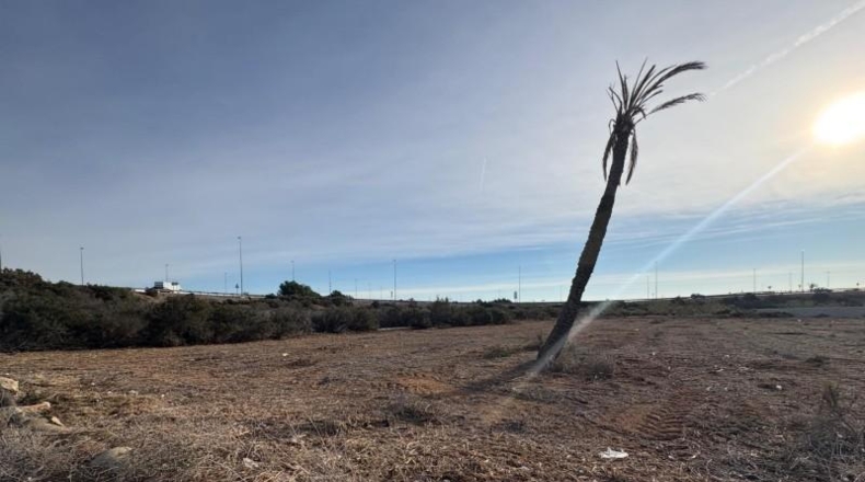 Alicante - Elx - 3090m2