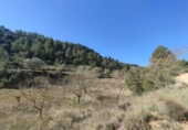 Xalet independent amb terreny en venda a la España, Beseit, ref.: TR403790 foto