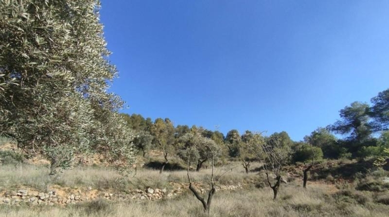 Teruel - Beceite - 84967m2