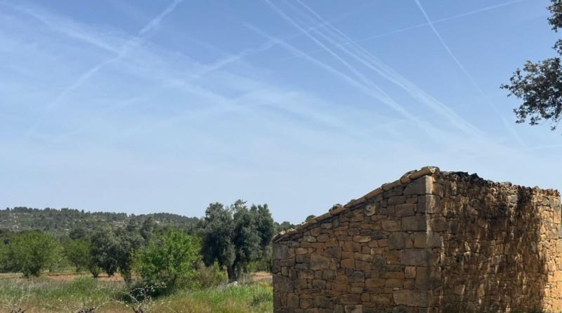 Teruel - Calaceite - 20835m2