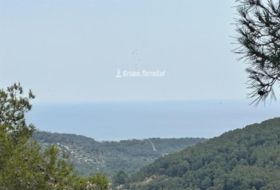 Castellet 896&nbsp;m² 