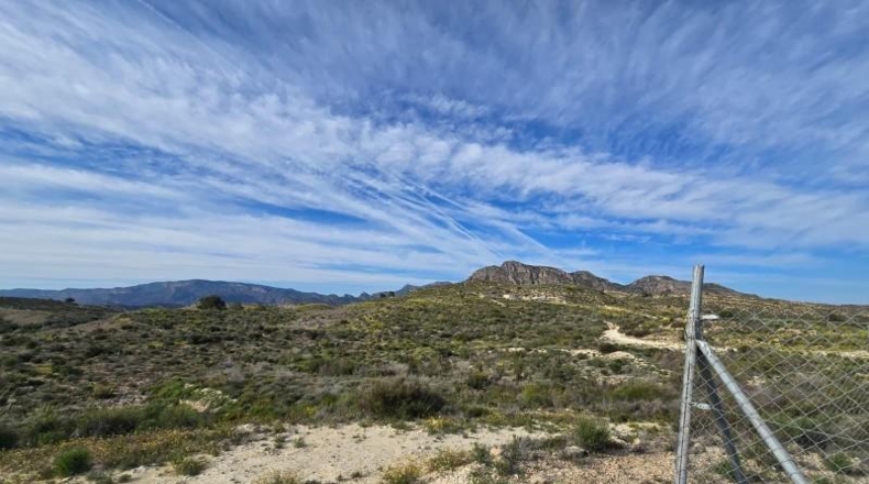 Murcia - Molina de Segura - 11994m2