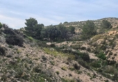 Terreno no urbanizable en venta en la España, Molina de Segura, ref: TR403801 foto