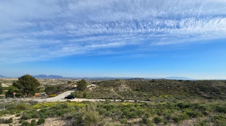 Murcia - Molina de Segura - 11994m2