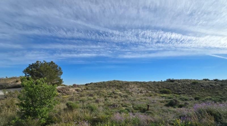 Murcia - Molina de Segura - 11994m2