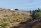 Urban land for sale on España, Balcón de Telde, ref: TR347866 photo
