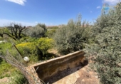 Casa de camp amb terreny en venda a la España, Fuente Álamo, ref.: TR403826 foto