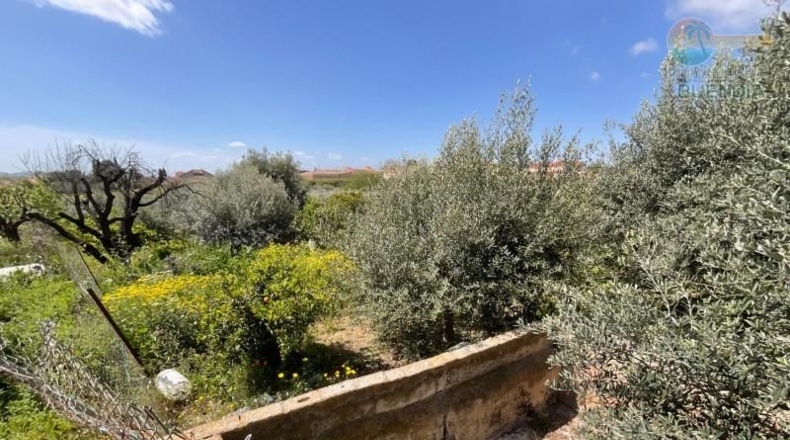 Murcia - Fuente Álamo - 418m2