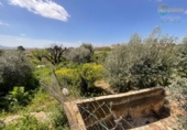 Casa de camp amb terreny en venda a la España, Fuente Álamo, ref.: TR403826 foto