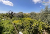 Casa de camp amb terreny en venda a la España, Fuente Álamo, ref.: TR403826 foto