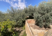 Casa de camp amb terreny en venda a la España, Fuente Álamo, ref.: TR403826 foto