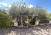 Casa de camp amb terreny en venda a la España, Fuente Álamo, ref.: TR403826 foto