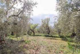 Fiñana 13000&nbsp;m²