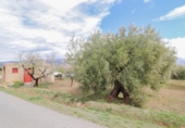 Terreny no urbanitzable en venda a la España, Fiñana, ref.: TR114256 foto