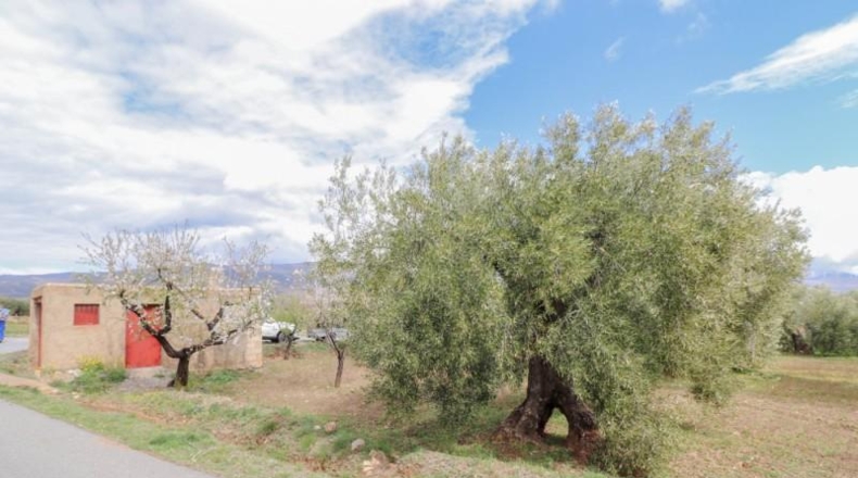 Almeria - Fiñana - 13000m2