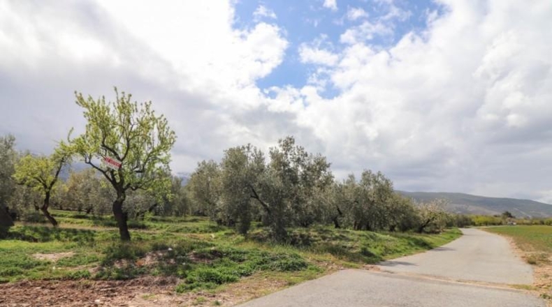 Almeria - Fiñana - 13000m2