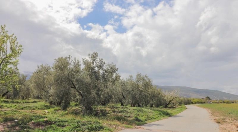 Almeria - Fiñana - 13000m2