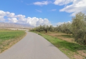 Terreny no urbanitzable en venda a la España, Fiñana, ref.: TR114256 foto