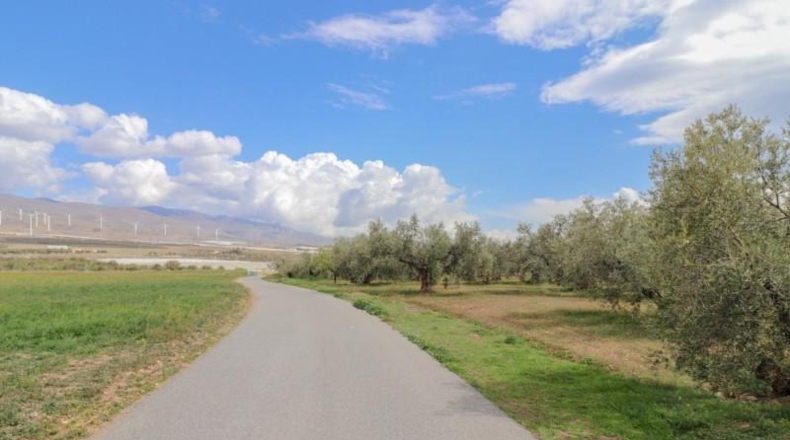 Almeria - Fiñana - 13000m2