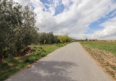 Terreny no urbanitzable en venda a la España, Fiñana, ref.: TR114256 foto