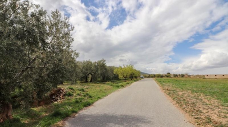 Almeria - Fiñana - 13000m2