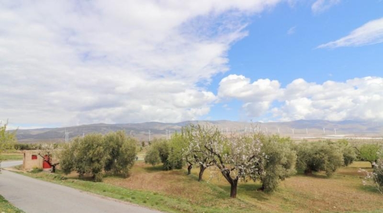 Almeria - Fiñana - 13000m2