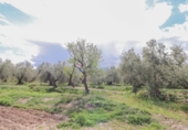 Terreny no urbanitzable en venda a la España, Fiñana, ref.: TR114256 foto