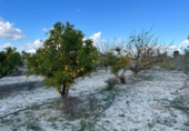 Xalet independent amb terreny en venda a la España, Novelda, ref.: TR203346 foto