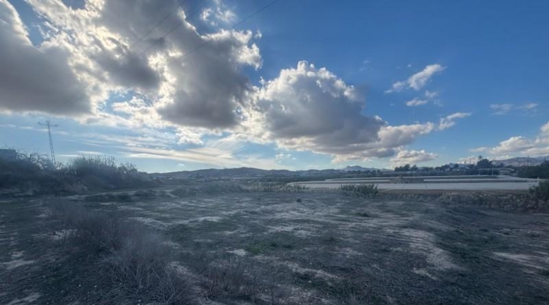 Alicante - Novelda - 11000m2