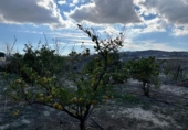 Xalet independent amb terreny en venda a la España, Novelda, ref.: TR203346 foto