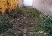 Suelo urbano en venta en la España, Antequera, ref: TR289496 foto