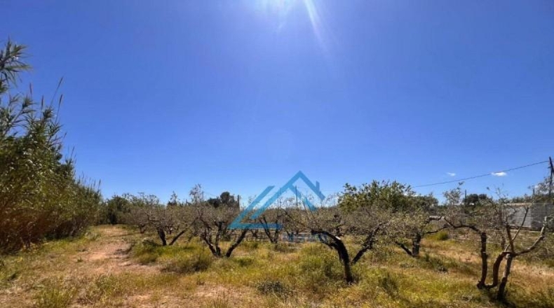 Tarragona - Vinyols i els Arcs - 3439m2