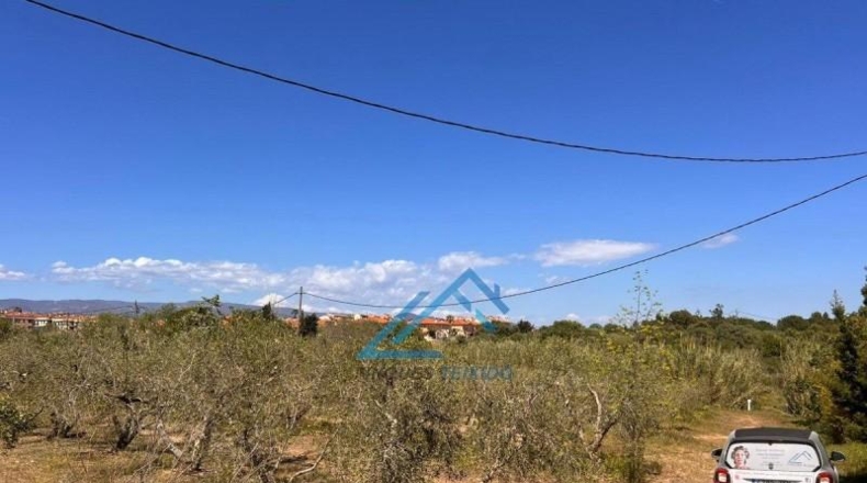Tarragona - Vinyols i els Arcs - 3439m2