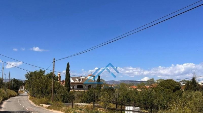 Tarragona - Vinyols i els Arcs - 3439m2