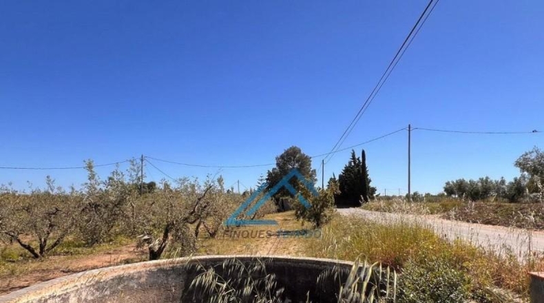 Tarragona - Vinyols i els Arcs - 3439m2