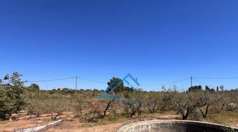 Tarragona - Vinyols i els Arcs - 3439m2