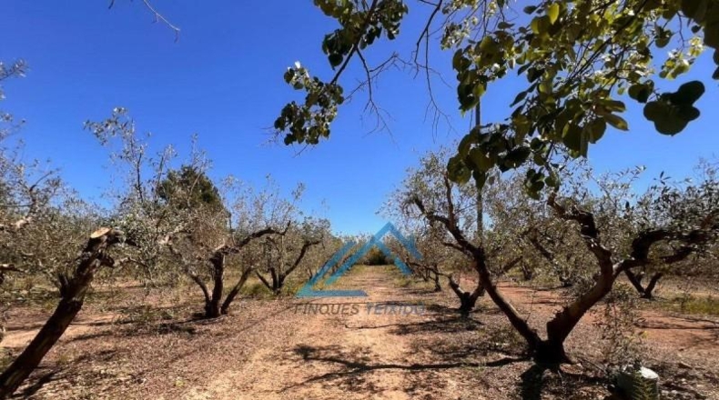 Tarragona - Vinyols i els Arcs - 3439m2