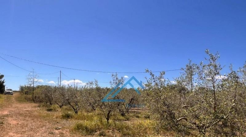 Tarragona - Vinyols i els Arcs - 3439m2