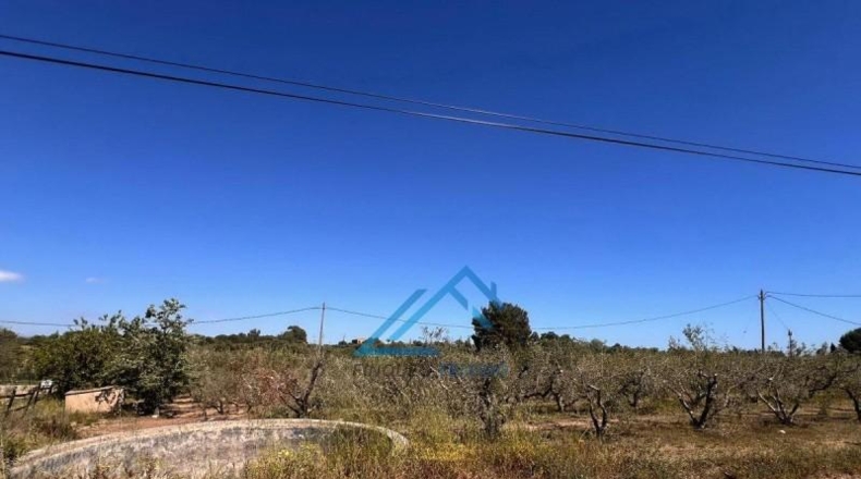 Tarragona - Vinyols i els Arcs - 3439m2