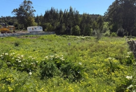 Santa Uxía de Ribeira 800&nbsp;м²