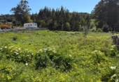 Sòl urbà en venda a la España, Santa Uxía de Ribeira, ref.: TR219370 foto